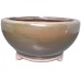 (N) E-Olive Meadow (GT6138)