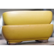 (73) - GT9059 - Curry