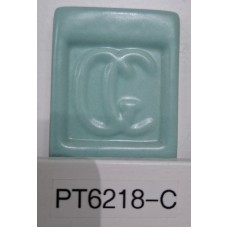 (16) - PT6218C