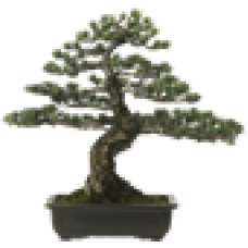 (50) - GT9069 (50) - GT9069