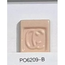 PO6209-B Orange