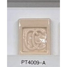 PT4009-A Orange
