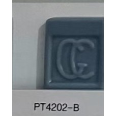PT4202-B Blue/Grey