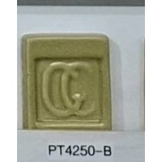 PT4250-B Avocado