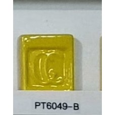 PT6049-B Intense Yellow