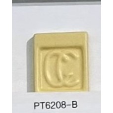 PT6208-B Orange