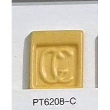 PT6208-C Orange
