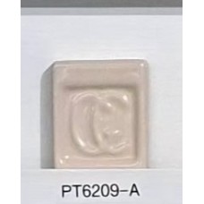 PT6209-A Orange