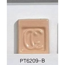 PT6209-B Orange