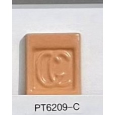 PT6209-C Orange