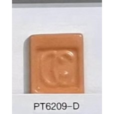 PT6209-D Orange