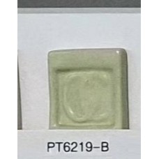 PT6219-B Green