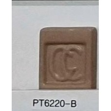 PT6220-B Golden Brown