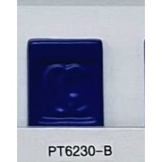 PT6230-B Blue