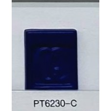 PT6230-C Blue