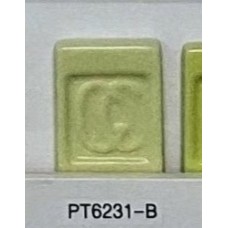 PT6231-B Lime Green