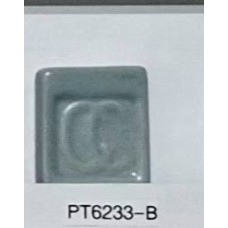 PT6233-B Celadon