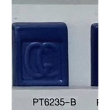 PT6235-B Purple