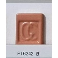 PT6242-B Orange Intense