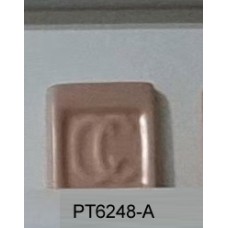 PT6248-A Salmon