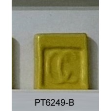 PT6249-B Intense Yellow