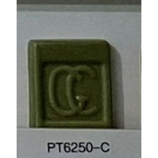 PT6250-C Avocado